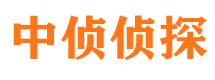 额敏市调查公司